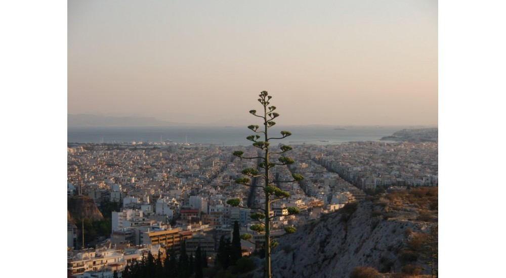 Λόφος Φιλοπάππου - Πνύκα