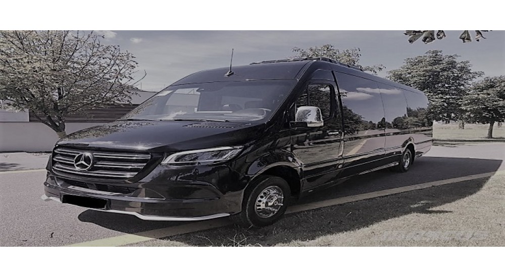 Mercedes benz Sprinter 12 seaters mini bus